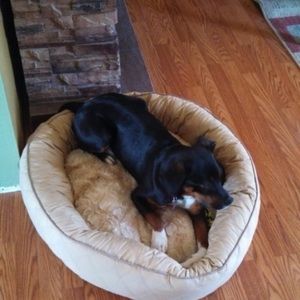 Meet your Posher, Kevin